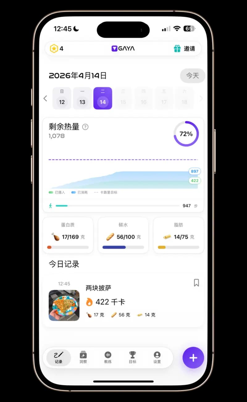 GAYA — 完整的仪表板,显示摄入与消耗的卡路里、带有进度条的宏量营养素分解、带有照片的进食历史以及步数追踪。